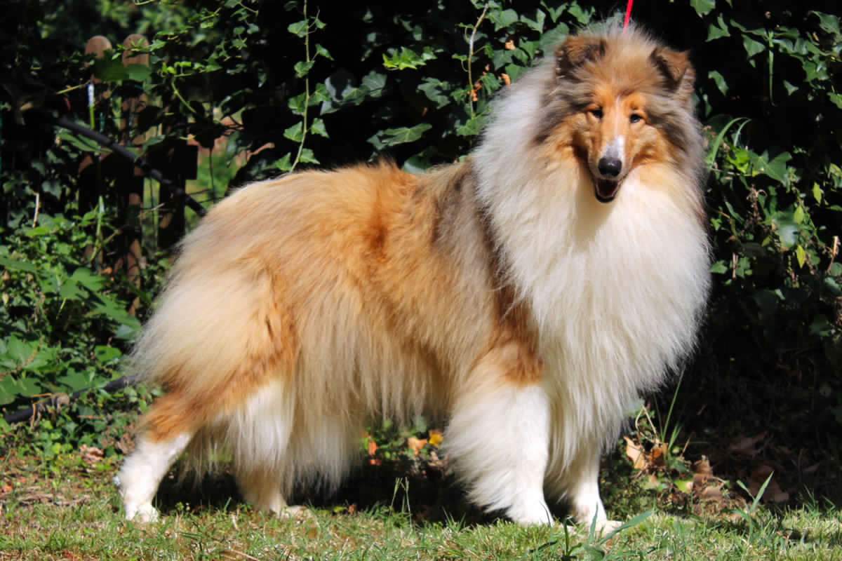 Without Limits di Cambiano